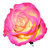 100 ml Rose Turkish Absolute