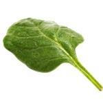 17 ml Spinach Leaf Absolute