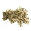 6g Oakmoss Absolute