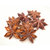 100 ml Star Anise Certified Organic Oil - ACO 10282P - EUD REQUIRED