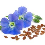 100 ml Flaxseed Virgin Certified Organic Vegetable Oil - ACO 10282P
