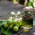 100mL Tamanu Certified Organic Vegetable Oil
