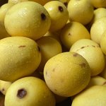 1L Marula Oil - COSMOS CERTIFIED 95% Organic