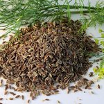 100 ml Dill Seed Indian Essential Oil