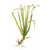 100 ml Gingergrass Essential Oil