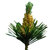 1 kg Pine Scotch Essential Oil