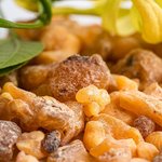 500 g Frankincense Essential Oil