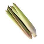 500 ml Lemongrass Cochin Essential Oil