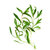 Cancelled - 500 g Tarragon Essential Oil                                                            
