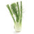 5 LT Fennel Sweet Essential Oil - EUD REQUIRED