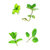 5 LT Menthol Liquid Essential Oil