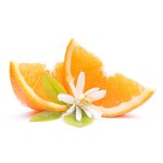 100 ml Orange Blossom Fragrant Oil