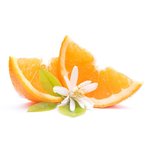 100mL Orange Blossom Fragrant Oil