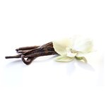 100 ml Sweet Vanilla Fragrant Oil