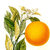 17 ml Citrus Fragrant Oil