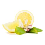 17mL Lemon Blossom Fragrant Oil