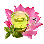 17 ml Green Tea and Lotus Fragrant Oil