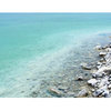 17mL Sea Minerals Fragrant Oil