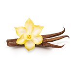 1kg French Vanilla Fragrant Oil