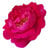 1 Kg Rose Garden Fragrant Oil