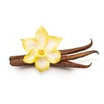 500g French Vanilla Fragrant Oil
