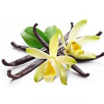 500mL Vanilla Infused Oil