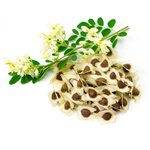 1L Moringa (Drumstick) Oil