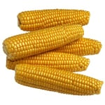 5 LT Corn Refined Oil