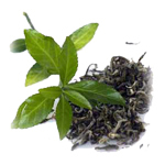 100 ml Green Tea - Liquid Extract [Water Based]