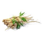 17mL Ginseng Siberian - Liquid Extract [Water Based]