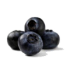 17mL Bilberry - Liquid Extract [Water Based]