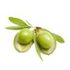 1kg Kakadu Plum - Liquid Extract [Glycerine Based]