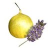 100 g (When Packed) Lime, Bergamot and Lavender Soap - 1 bar