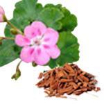 1 kg Sandalwood Rose Geranium And Red Clay Soap - 10 bars