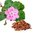 500 g (When Packed) Sandalwood Rose Geranium And Red Clay Soap - 5 bars