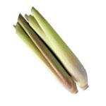 5 kg Lemongrass and Green Clay Soap - 50 bars