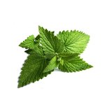 5L Peppermint Hand & Body Wash