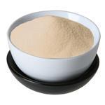 Aloe Vera [200:1] Powder - Fruit & Herbal Powder Extracts