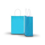 Carton of 250 Small Turquoise Kraft Recyclable Paper Bags 16cm (W) X 22cm (H) + 8cm (G)