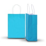 Carton of 250 Large Turquoise Kraft Recyclable Paper Bags 26cm (W) X 35cm (H) + 10cm (G)
