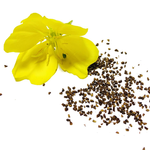 1 Kg Evening Primrose Certified Organic CO2 Oil - ACO 10282P