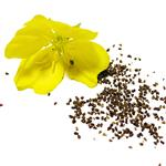 Evening Primrose - Certified Organic CO2 Oils - ACO 10282P