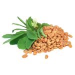 17mL Fenugreek Certified Organic CO2 Oil