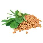 Fenugreek - Certified Organic CO2 Oils - ACO 10282P