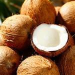 Coconut Virgin Oil