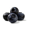 5kg Bilberry - Liquid Extract [Glycerine Based]