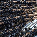 Acai Virgin Oil