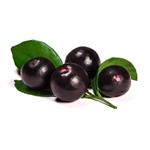 Acai Virgin Oil - Vegetable, Carrier, Emollients & other Oils