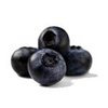 500g Bilberry Certified Organic Liquid Extract [Glycerine Based]