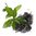 17 g Green Tea Certified Organic Liquid Extract [Glycerine Based] - ACO 10282P